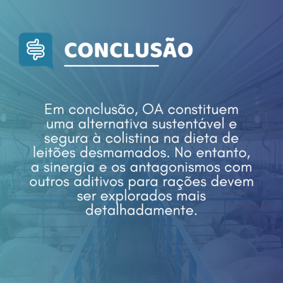 Conclusão