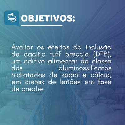 Objetivos (2)